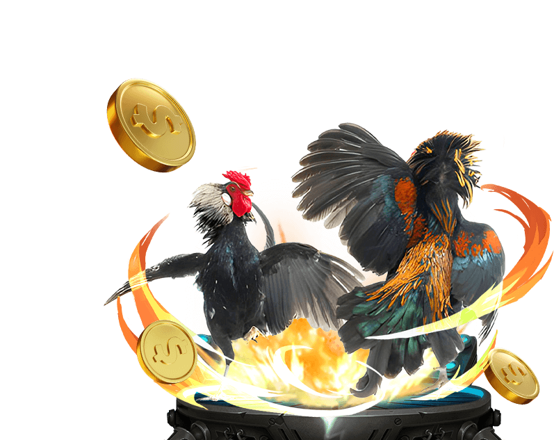 Đá gà trực tuyến Bet 188